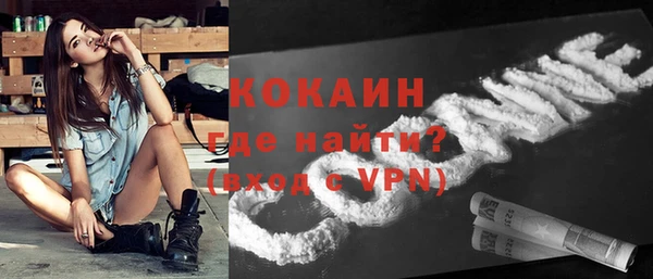 молекула духа Нягань