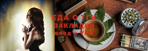 СК Пересвет
