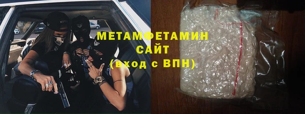 прущие грибы Осинники