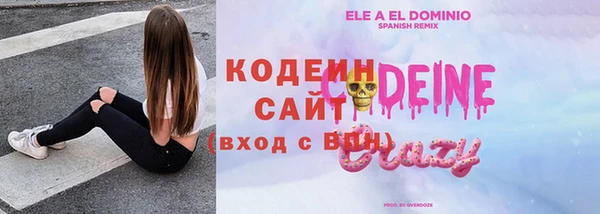 прущие грибы Осинники