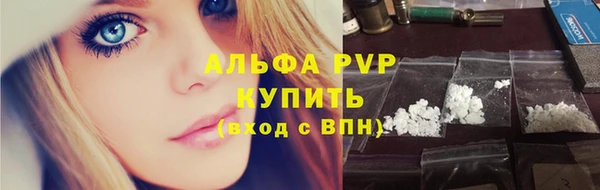 прущие грибы Осинники