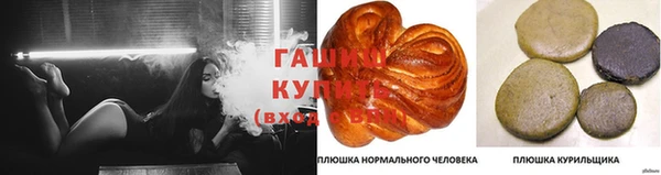 прущие грибы Осинники
