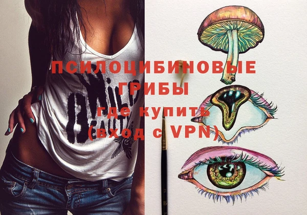 Альфа ПВП Няндома