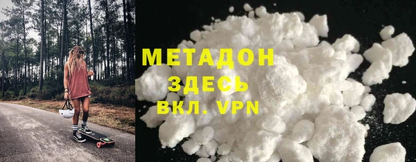 прущие грибы Осинники