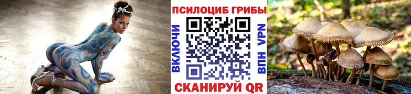Галлюциногенные грибы мухоморы  нарко площадка как зайти  Озёры  что такое наркотик 